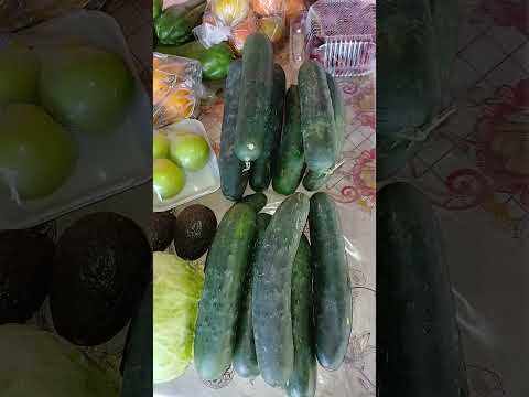 Sensuntepeque Cabañas 🇸🇻