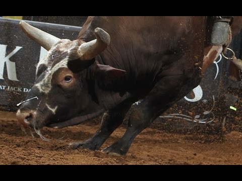 Bushwacker dispatches world No. 2 L.J. Jenkins