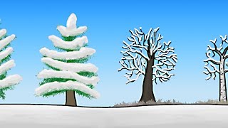 How do Trees Survive Winter?