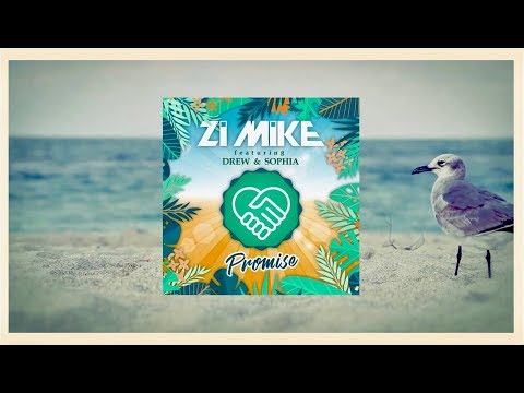 Zi MIKE  feat Drew & Sophia - Promise (Lyric Video)