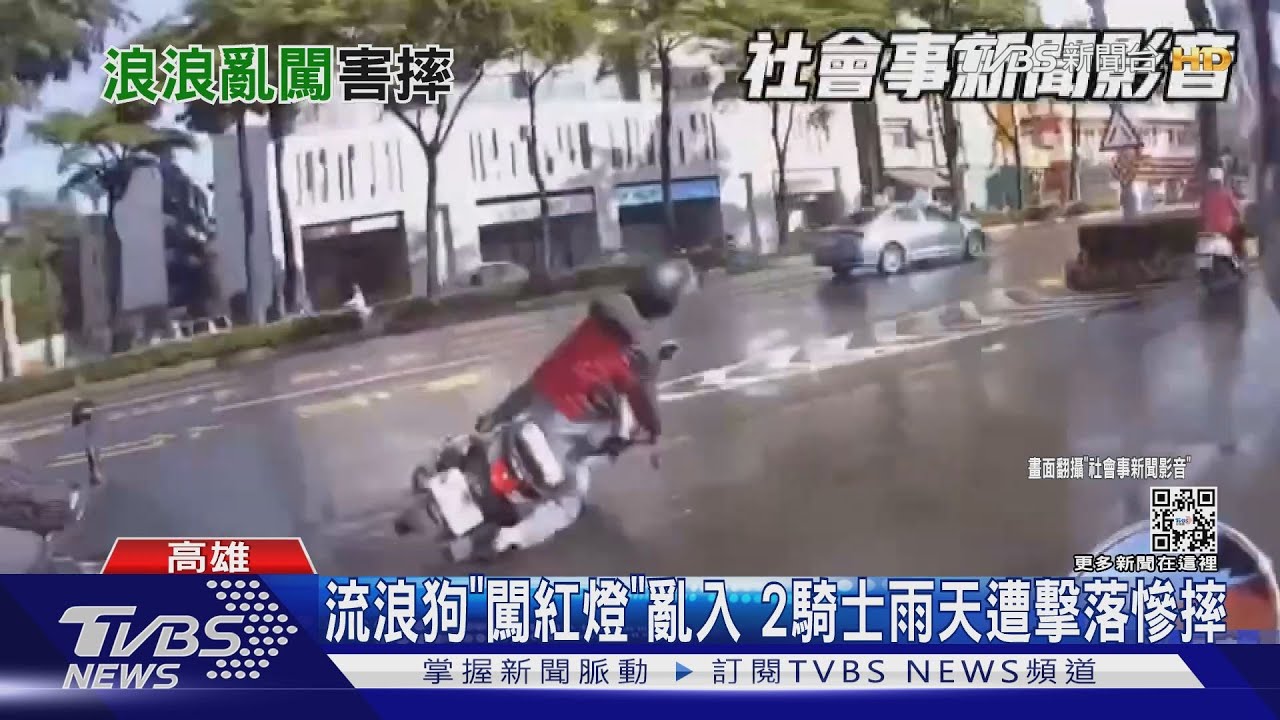 雨天遭擊落悲劇了!流浪狗害兩騎士慘摔 找嘸主人求償難