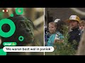 Kinderen moeten dierentuin uit vanwege ontsnapte aap