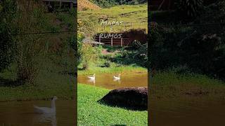 Venha conhecer o camping Cantinho Doce em Lumiar - Nova Friburgo - RJ