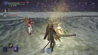 【ELDEN RING NIGHTRAIN】初心者のナイトレイン配信