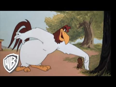 Looney Tunes | Look It Here