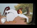 Looney Tunes Look It Here