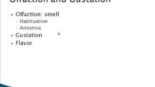 Psychology 101: The Chemical Senses