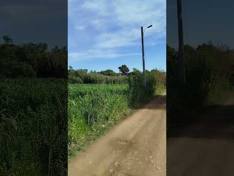 Naturaleza Tarija #naturaleza #nature #paisajes #vida #natural