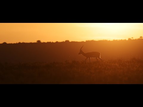 Gods werken - Christian Verwoerd