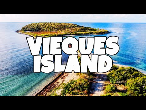 Best Things To Do in Vieques Island, Puerto Rico