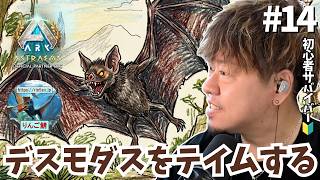 #14【ASA/非公式PvE/アストレオス】血を捧げて仲間にしろ！？最強の便利コウモリ「デスモダス」テイム大作戦！Part２【PS5】【りんご鯖】 #ARK #ASA #ゲーム実況
