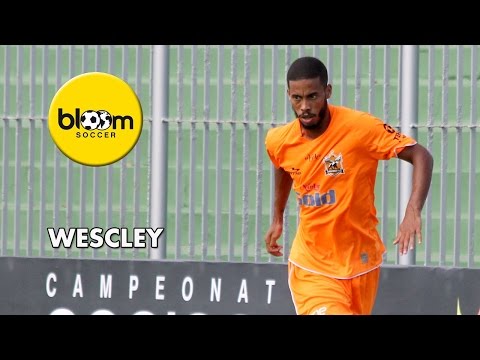 WESCLEY - HIGHLIGHTS