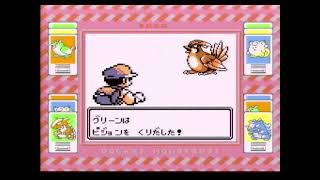 【ポケットモンスター赤】シオンタウン散策～タマムシシティ散策まで【Part8】
