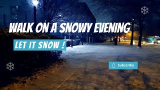 Walking in the snowfall !