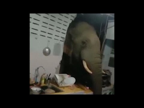 Youtube Video Youtube Video