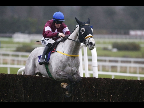 Disko - Flogas Novice Chase (2017)