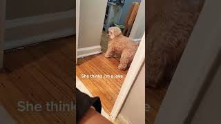 Download lagu Thank you for watching, thank you for liking, I wish you happiness. #pov #foryou #storytime #fyp mp3 Download lagu Thank you for watching, thank you for liking, I wish you happiness. #pov #foryou #storytime #fyp mp3