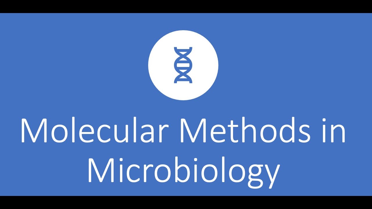 Molecular Methods in the Microbiology Lab