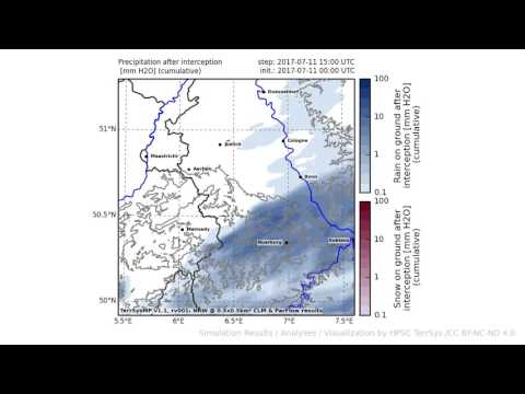 TerrSysMP monitoring run 2017-07-11 - precipitation after interception - NRW (24h)