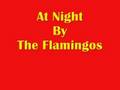 At Night By The Flamingos