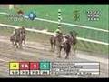 Bernardini - 2006 Jim Dandy Stakes