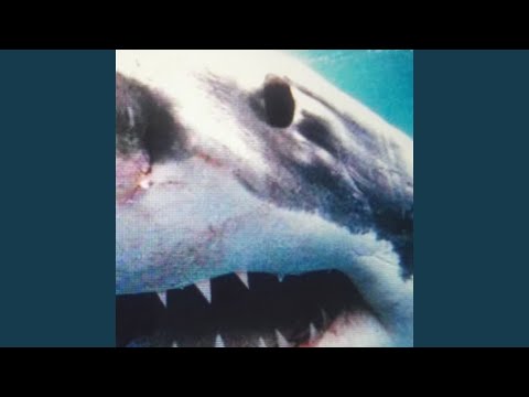 Haste nich gesehen (Instrumental)