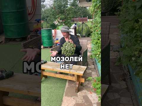 Вяжешь веники и стираешь руки в кровь? Попробуй этот способ