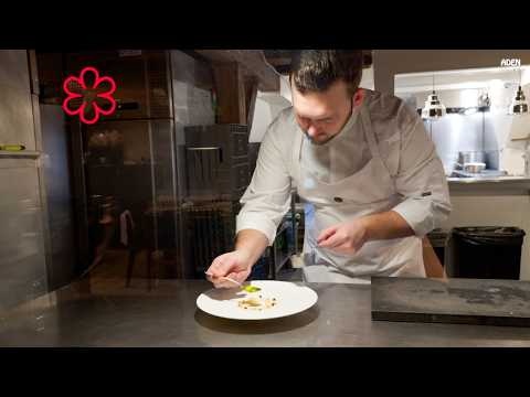 Danish Chef shares genius Recipe: Scallop Salad in Copenhagen