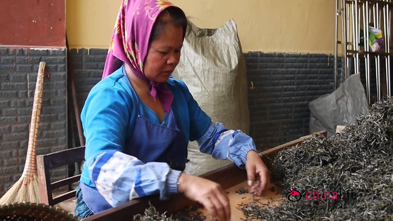 Making PuErh Tea - The Traditional Way - YouTube