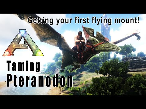 Getting Your First Flying Mount - Taming a Pteranodon - Ark Survival Evolved