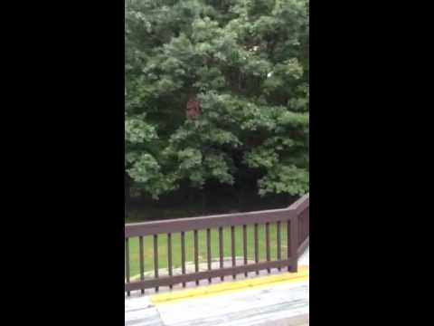 126 Doane Street, Cohasset, MA part 2