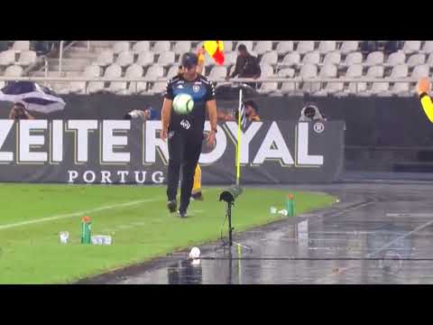 Botafogo 2 x 0 Avaí (Melhores Momentos) COMPLETO - Brasileirão 2019 FullHD 1080p