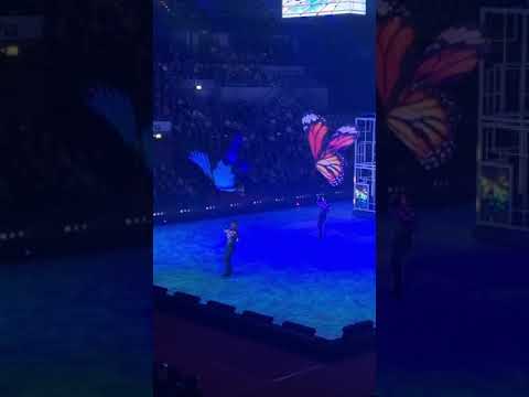 Holiday on Ice 2025: Spektakuläre Show mit künstlichen Schmetterlingen!