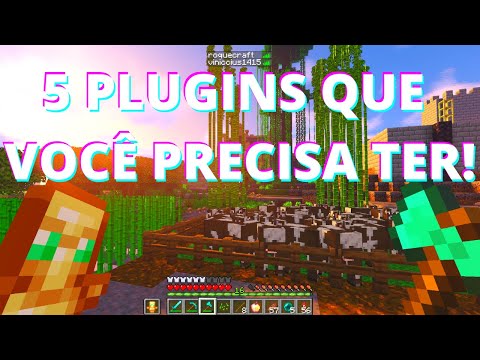 TOP 5 PLUGINS YOU MUST HAVE ON THE MINECRAFT SERVER