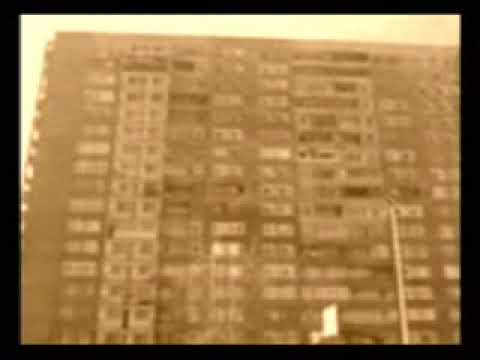 NPT - Szara Codzienność.