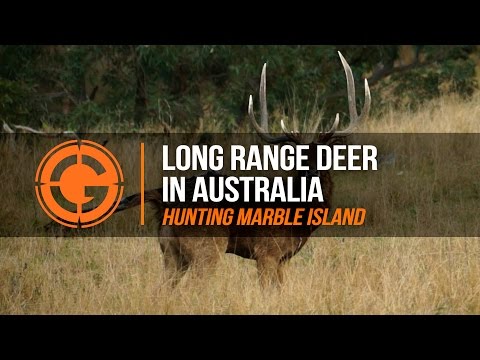 LRP Highlights | S3 E2 Long Range Deer in Australia