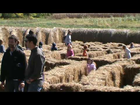 Children Hay Maze