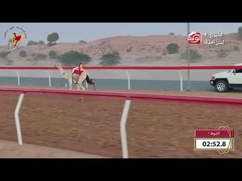  ش 1 (حكمه) لـ علي سلطان راشد النعيمي 4:39 , شارة الديوان 2 2026/09/25 حقايق اللبسه  
