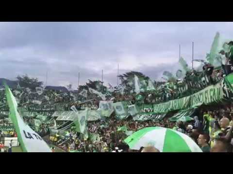 "04/04/2015.  Nacional - Cortuluá.  Los del Sur." Barra: Los del Sur • Club: Atlético Nacional