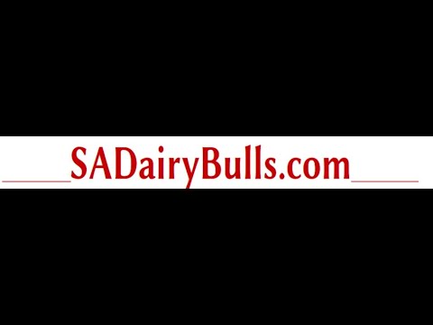 , title : 'SADairyBulls.com Video 3 Bulseleksie en Parings'