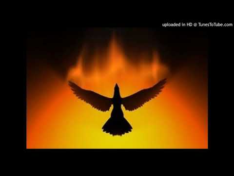 Hbk Steph x Voke "4 Nem"