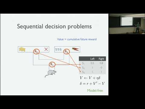 The hippocampus as a predictive map