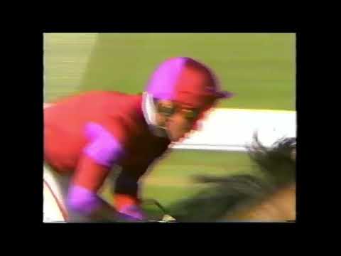 The Phantom - Mackinnon Stakes 2000m Group 1 1993 - Ridden by Jim Cassidy