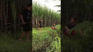 Download lagu Viral!! Agos kotak mancing emosi!! mp3 Download lagu Viral!! Agos kotak mancing emosi!! mp3