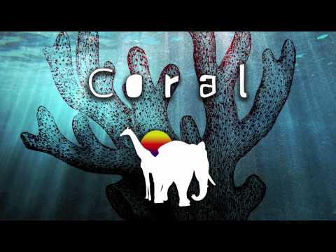 Zoology - Coral (Original Mix)