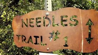 Riding Snowbasin Resort, Utah.