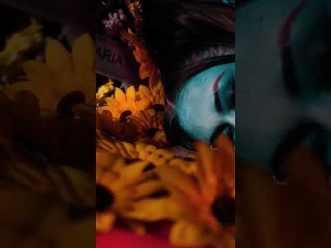 MC Pipokinha - Quando Eu Morrer Quero Ser Enterrada De Quatro (Canal BAILÃO) DJ DS (Clipe Oficial)