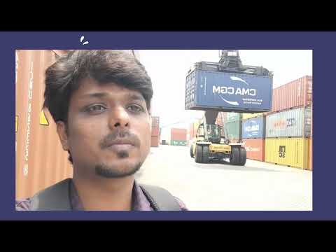 Organic moringa dried leaves powder, 25 kg