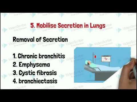 Therapeutic Effects of Massage