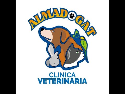 Single Video thumbnail